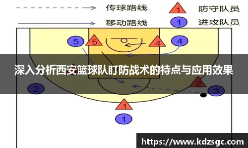 星空体育网站入口