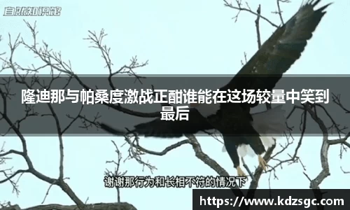 星空体育