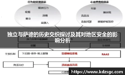 独立与萨德的历史交织探讨及其对地区安全的影响分析