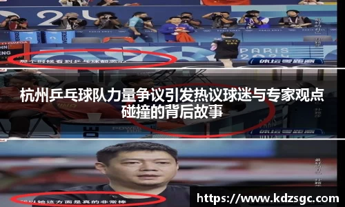 杭州乒乓球队力量争议引发热议球迷与专家观点碰撞的背后故事